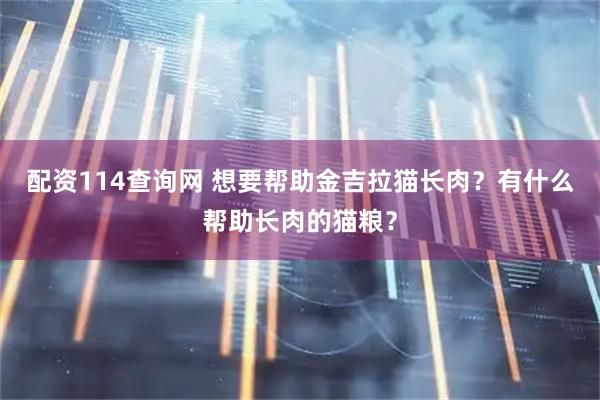 配资114查询网 想要帮助金吉拉猫长肉？有什么帮助长肉的猫粮？